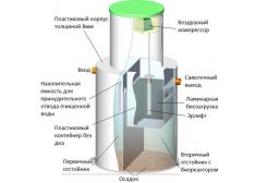 Панда Хайд 0.6
